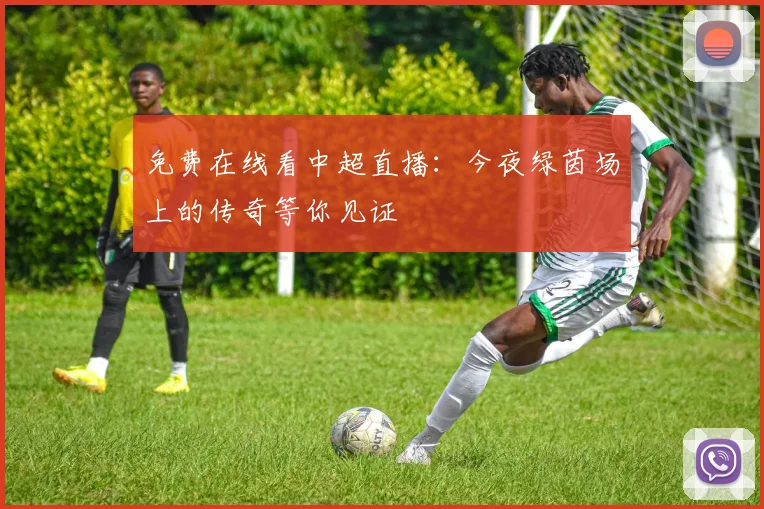 免费在线看中超直播：今夜绿茵场上的传奇等你见证