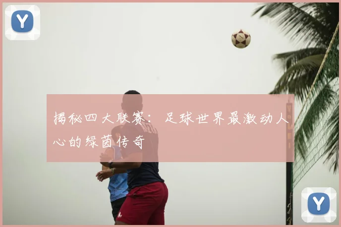 揭秘四大联赛:足球世界最激动人心的绿茵传奇